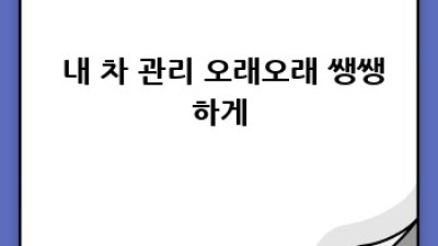 함평군 신광면 함정리 중고차 최고가 매입? 🥇꿀팁 대방출!