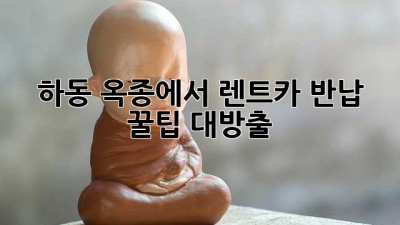 하동 옥종에서 렌트카 반납?! 꿀팁 대방출! 🚗💨